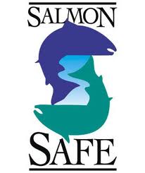salmon safe